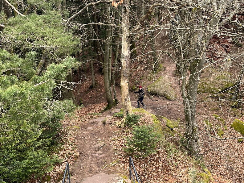 23-03-04 15-37-34 4730